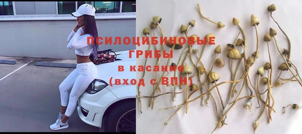 скорость Кукмор