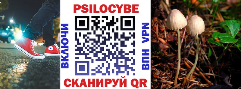 Псилоцибиновые грибы Psilocybine cubensis  Цимлянск 